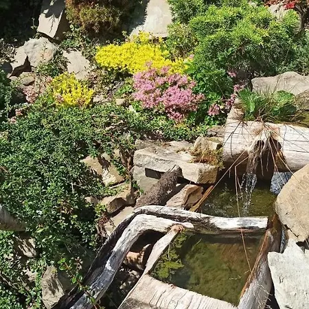 Muzyczny Dworek ホームステイ