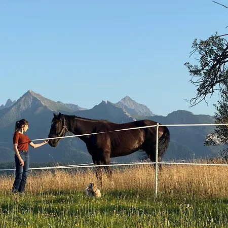 Muzyczny Dworek Rum i privatbostad