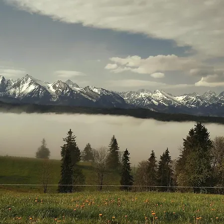Rum i privatbostad Muzyczny Dworek