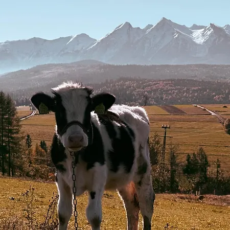 ホームステイ Muzyczny Dworek Rzepiska