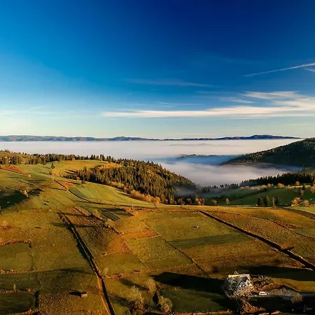 Muzyczny Dworek ホームステイ *