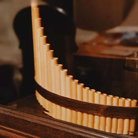 Muzyczny Dworek * Rzepiska