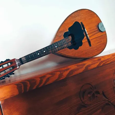 ホームステイ Muzyczny Dworek