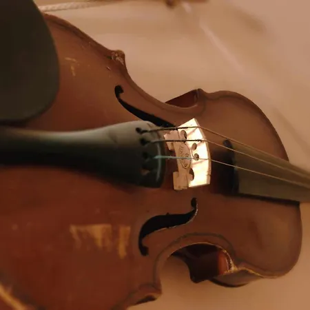 Muzyczny Dworek ホームステイ *