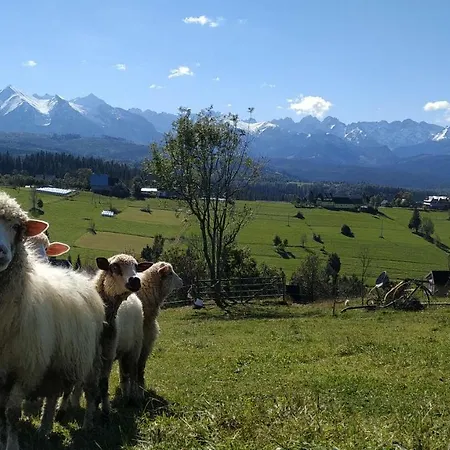 ホームステイ Muzyczny Dworek *