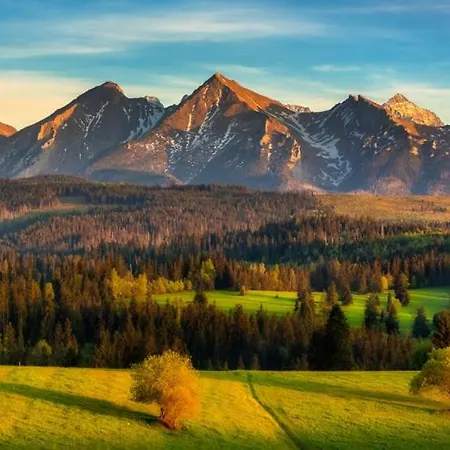 Muzyczny Dworek ホームステイ Rzepiska