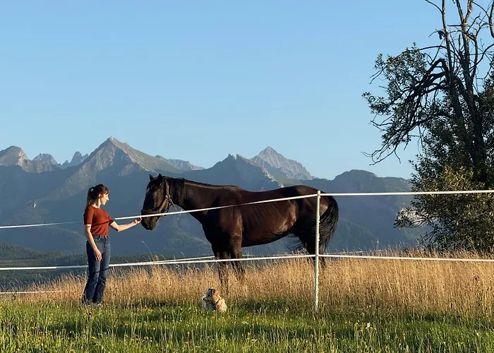 Muzyczny Dworek Rum i privatbostad