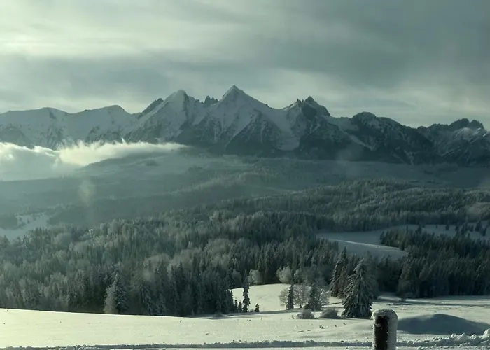 Muzyczny Dworek Rum i privatbostad