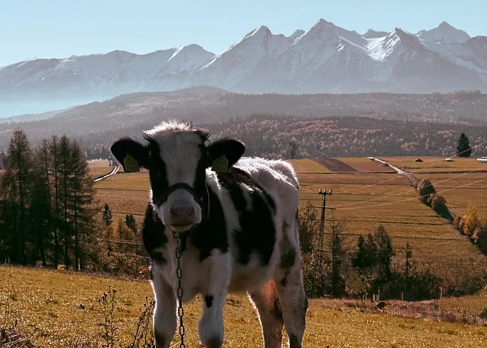 Rum i privatbostad Muzyczny Dworek Rzepiska