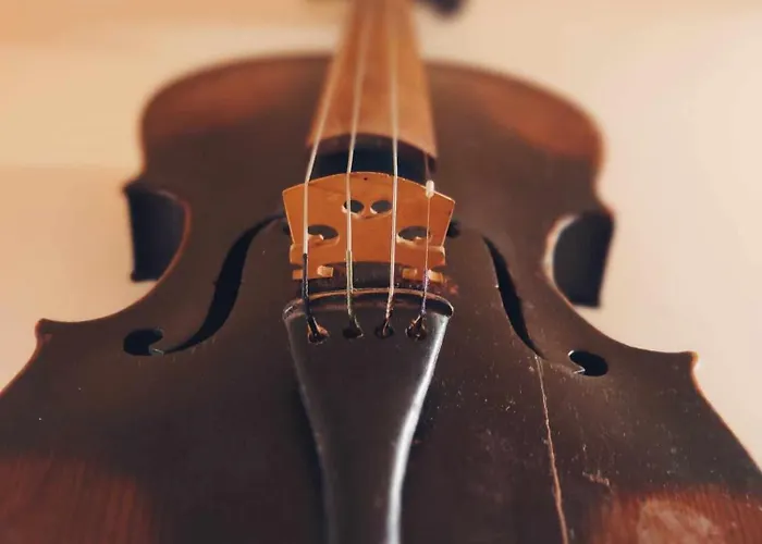 Muzyczny Dworek Rum i privatbostad