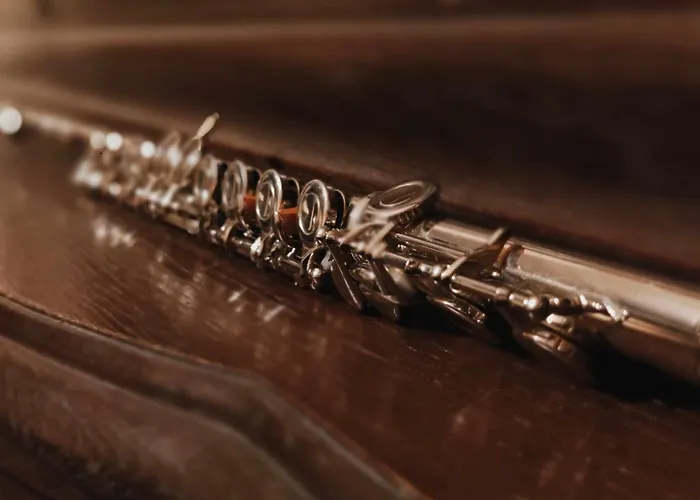 Rum i privatbostad Muzyczny Dworek Rzepiska