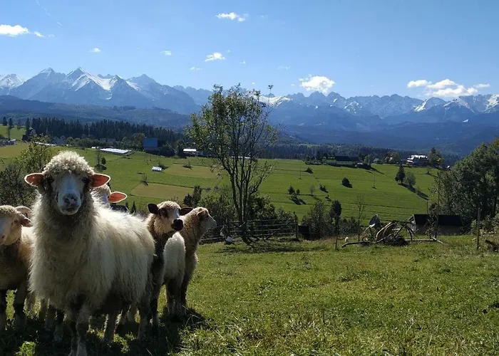 Rum i privatbostad Muzyczny Dworek *